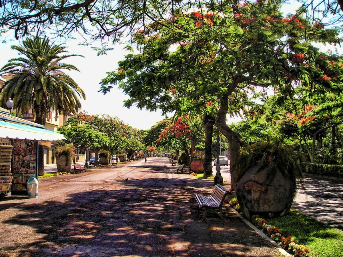 Flores & Campos Guest House Santa Cruz de Tenerife Dış mekan fotoğraf